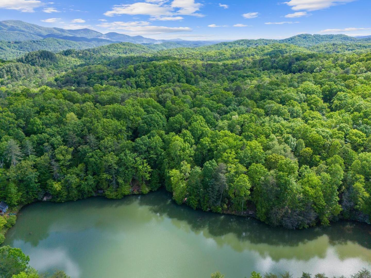 Cherry Lake Hideaway Блу-Ридж Экстерьер фото